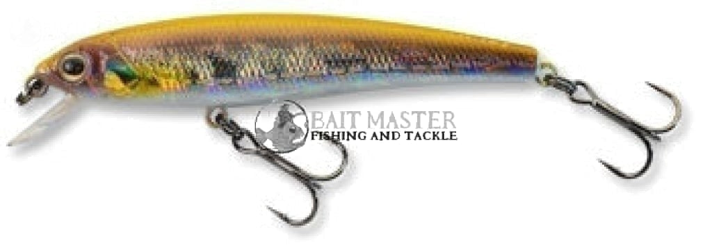 Ecogear MW62F Floating Lure